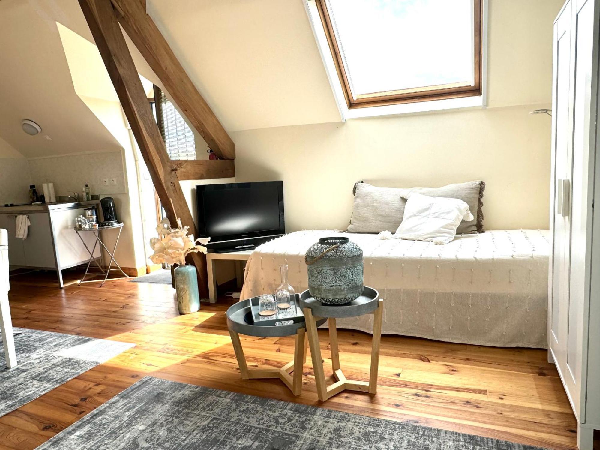 Orbigny Le Moulin D Olivet B&B 외부 사진