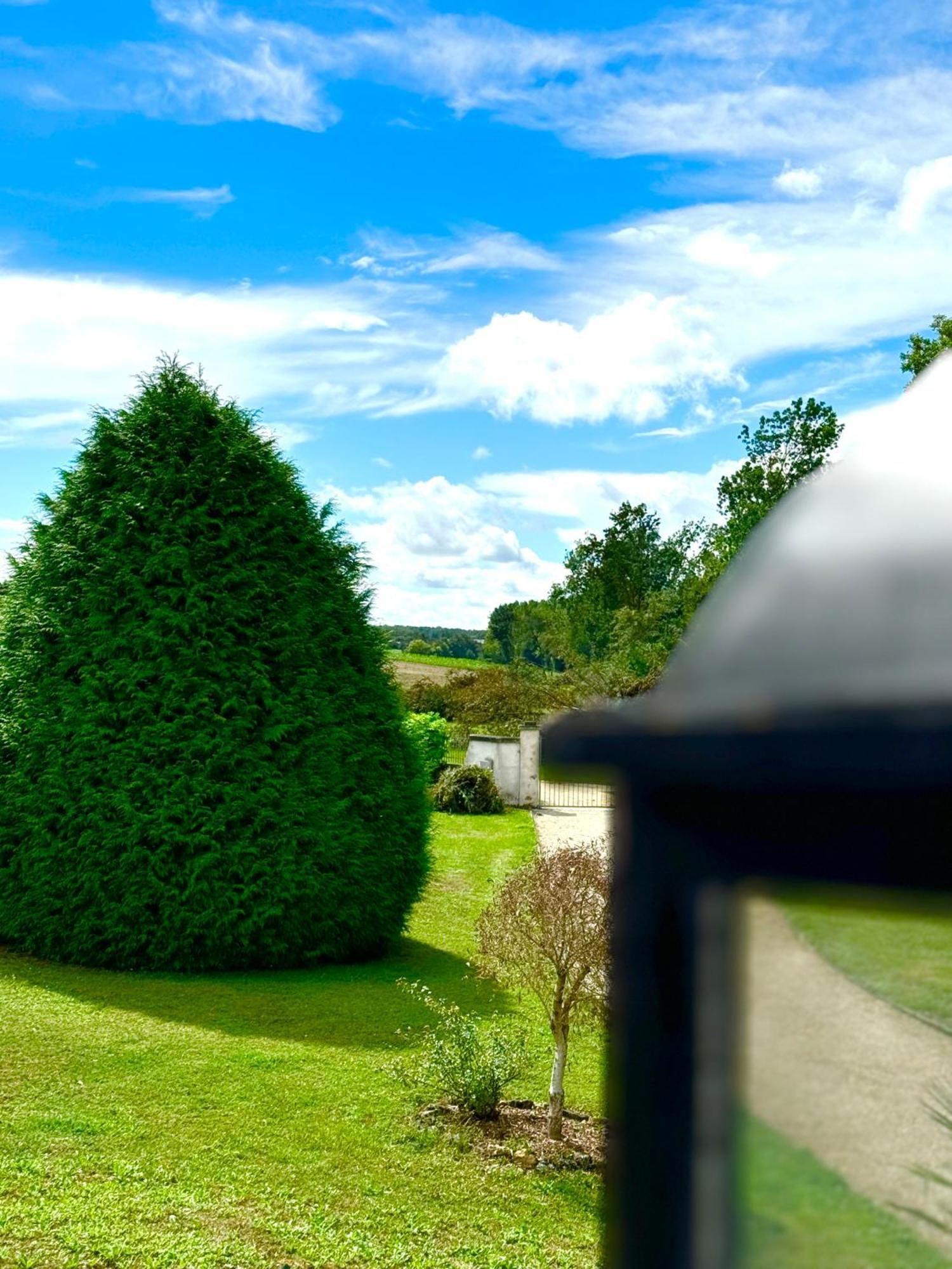 Orbigny Le Moulin D Olivet B&B 외부 사진