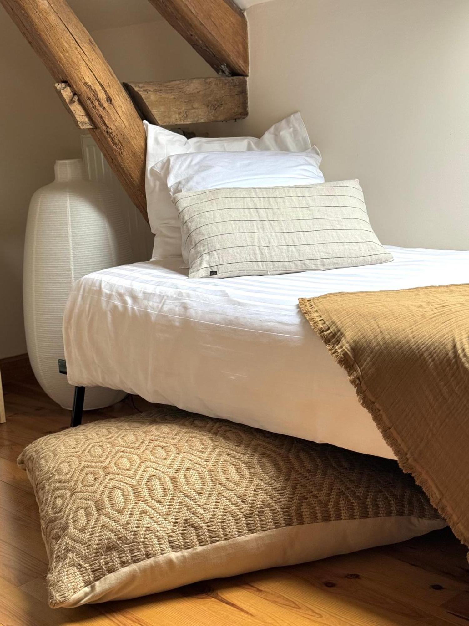 Orbigny Le Moulin D Olivet B&B 외부 사진