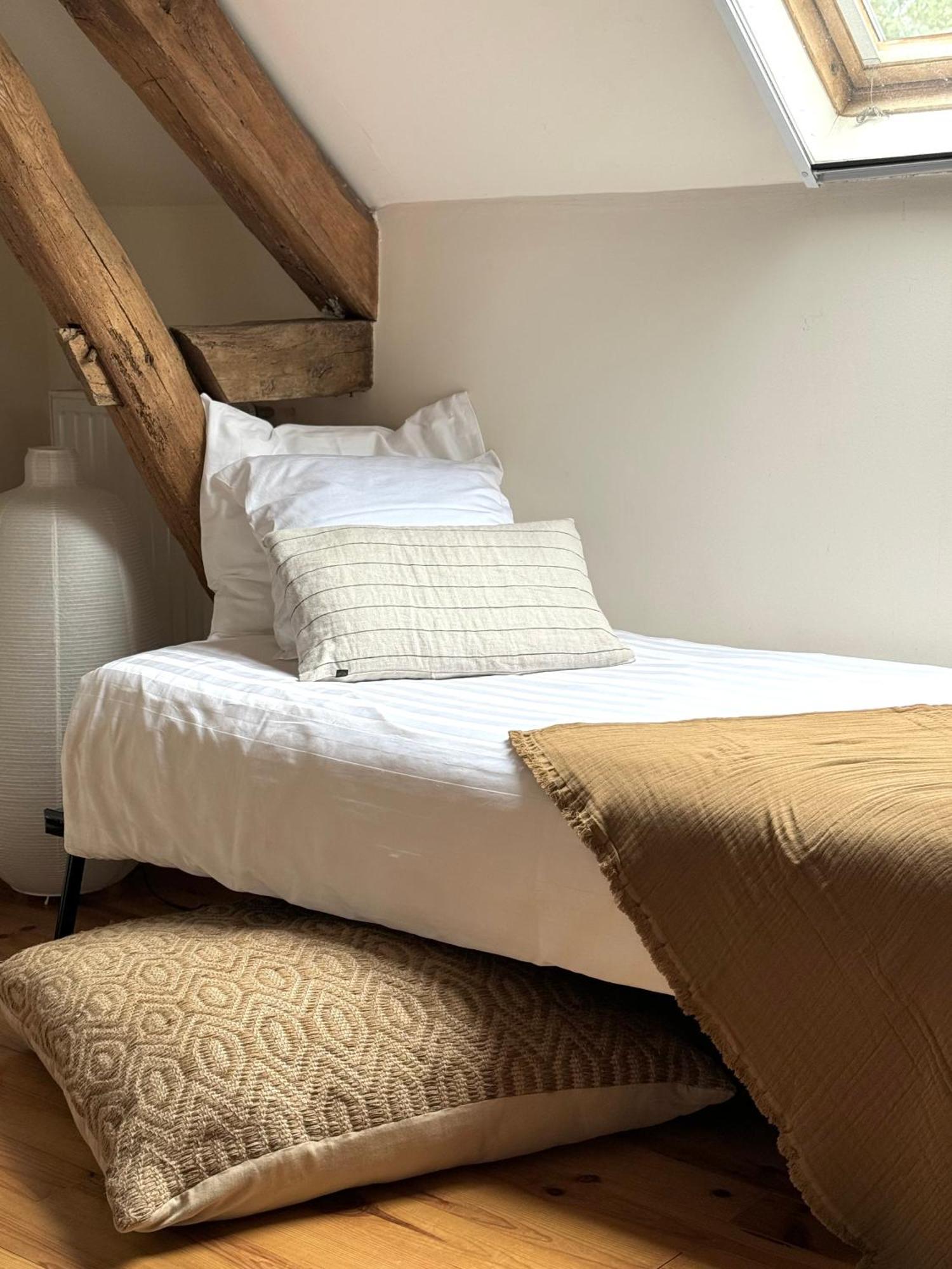 Orbigny Le Moulin D Olivet B&B 외부 사진