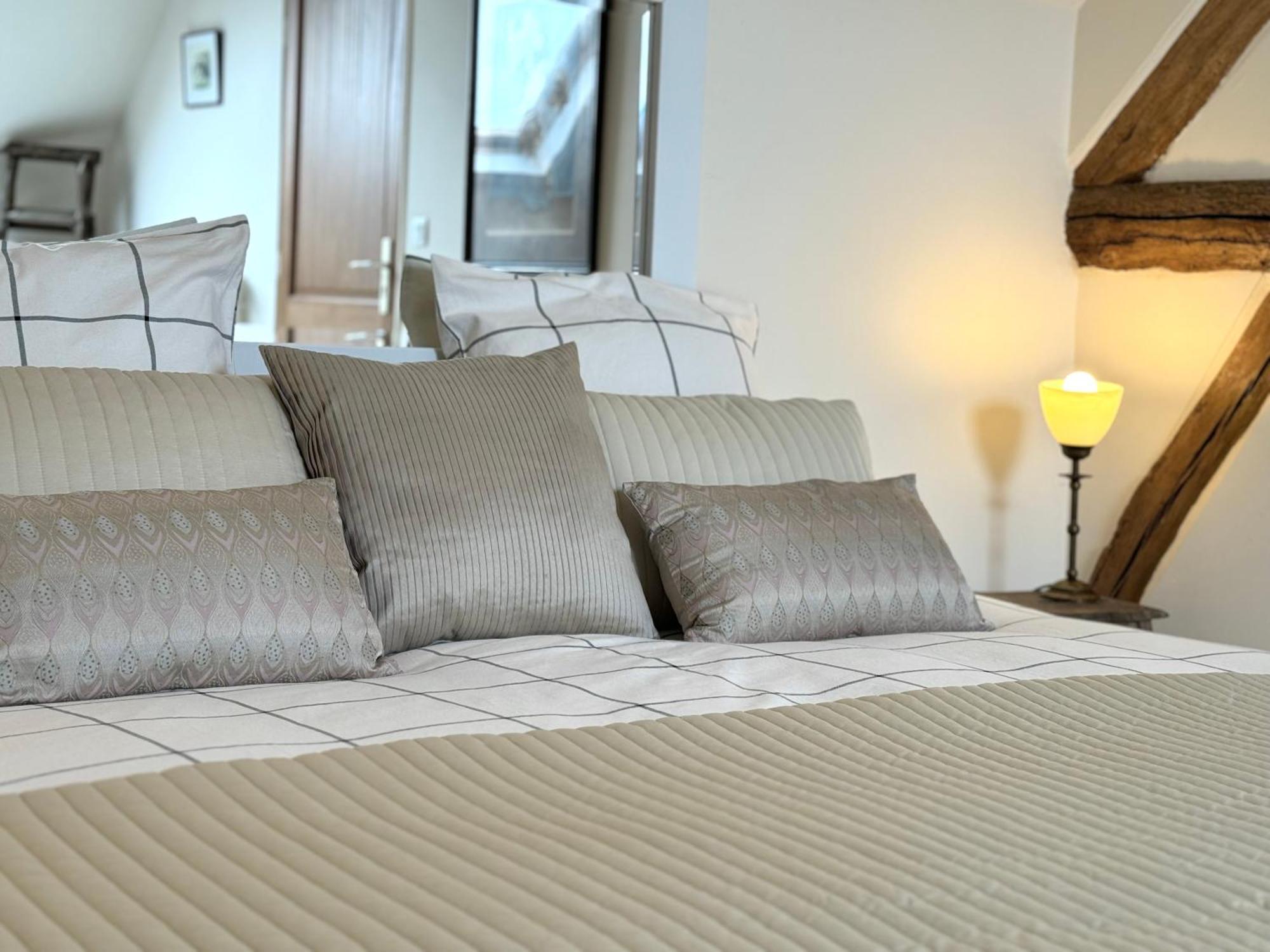 Orbigny Le Moulin D Olivet B&B 외부 사진